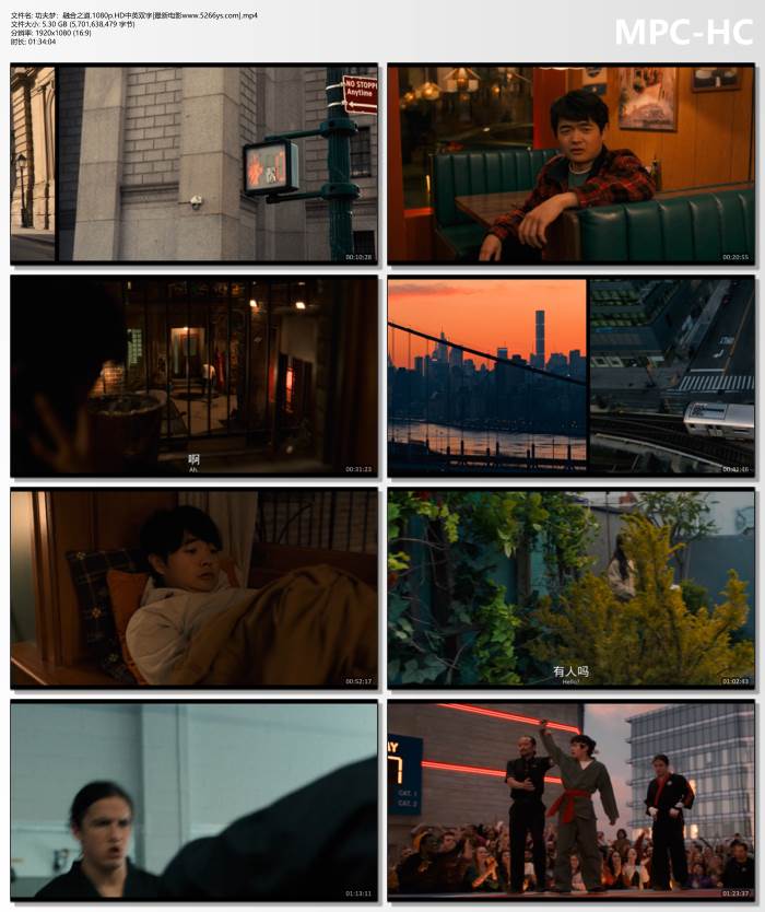 2025年美国动作片《功夫梦：融合之道》1080P中英双字