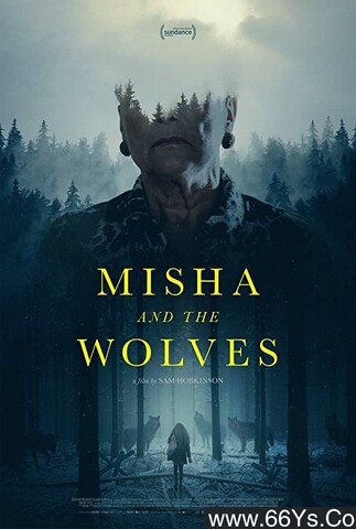 2021年欧美7.1分剧情片《米沙与狼》
