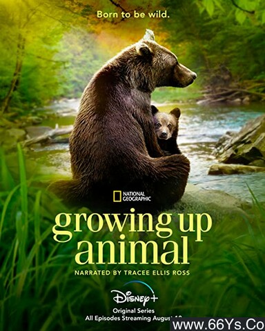 2021年美国纪录片《动物成长》1080P英语中字
